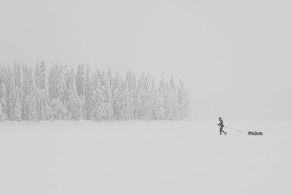 DSC_9487 (1) DSC_9487 (1)