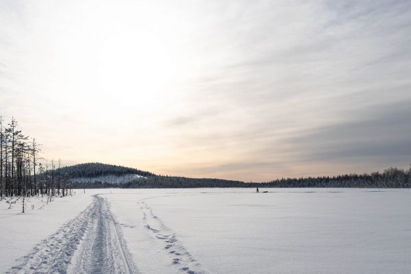 DSC_9999 (1) DSC_9999 (1)